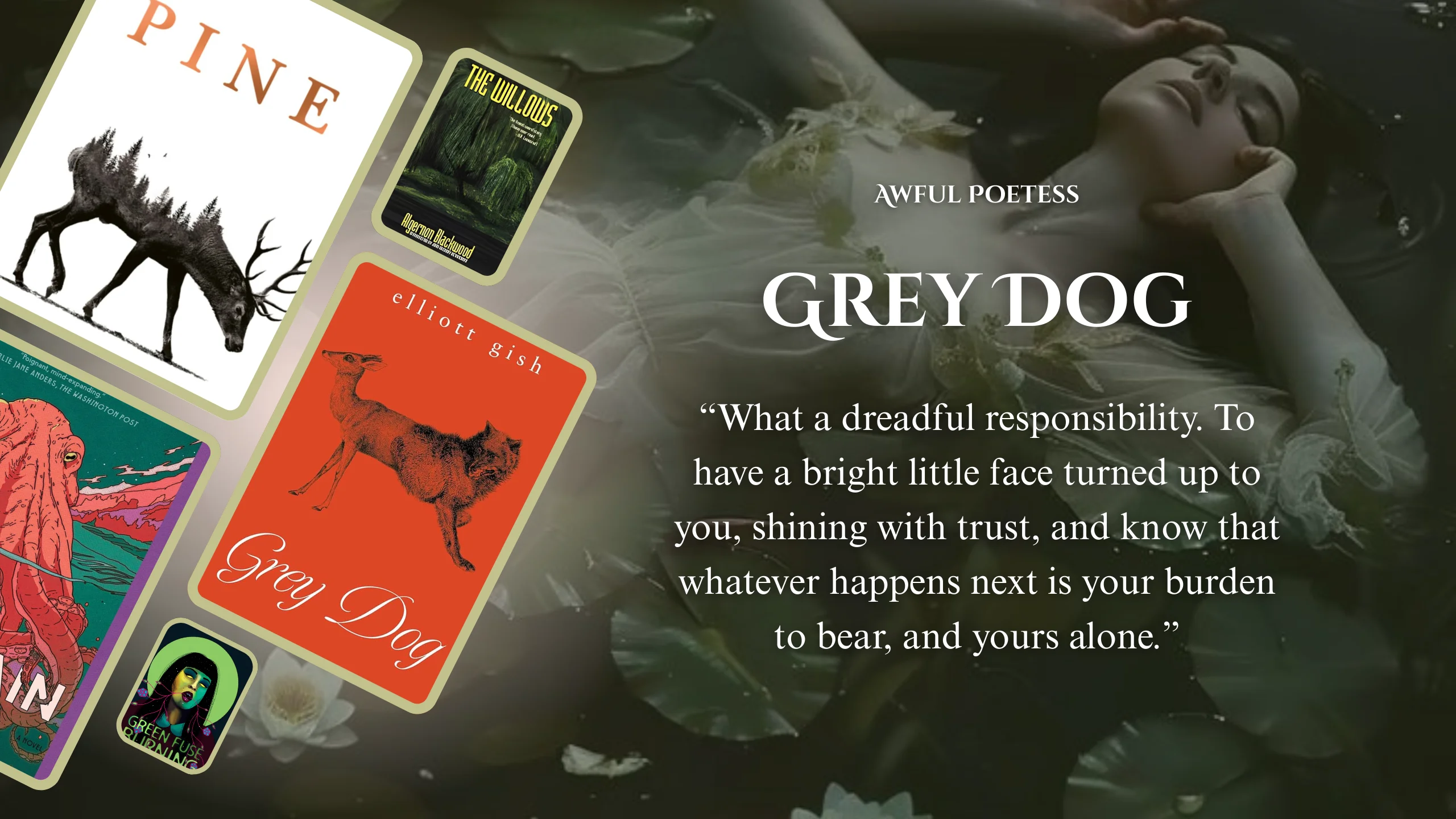 Grey Dog: A Novel by Elliott Gish