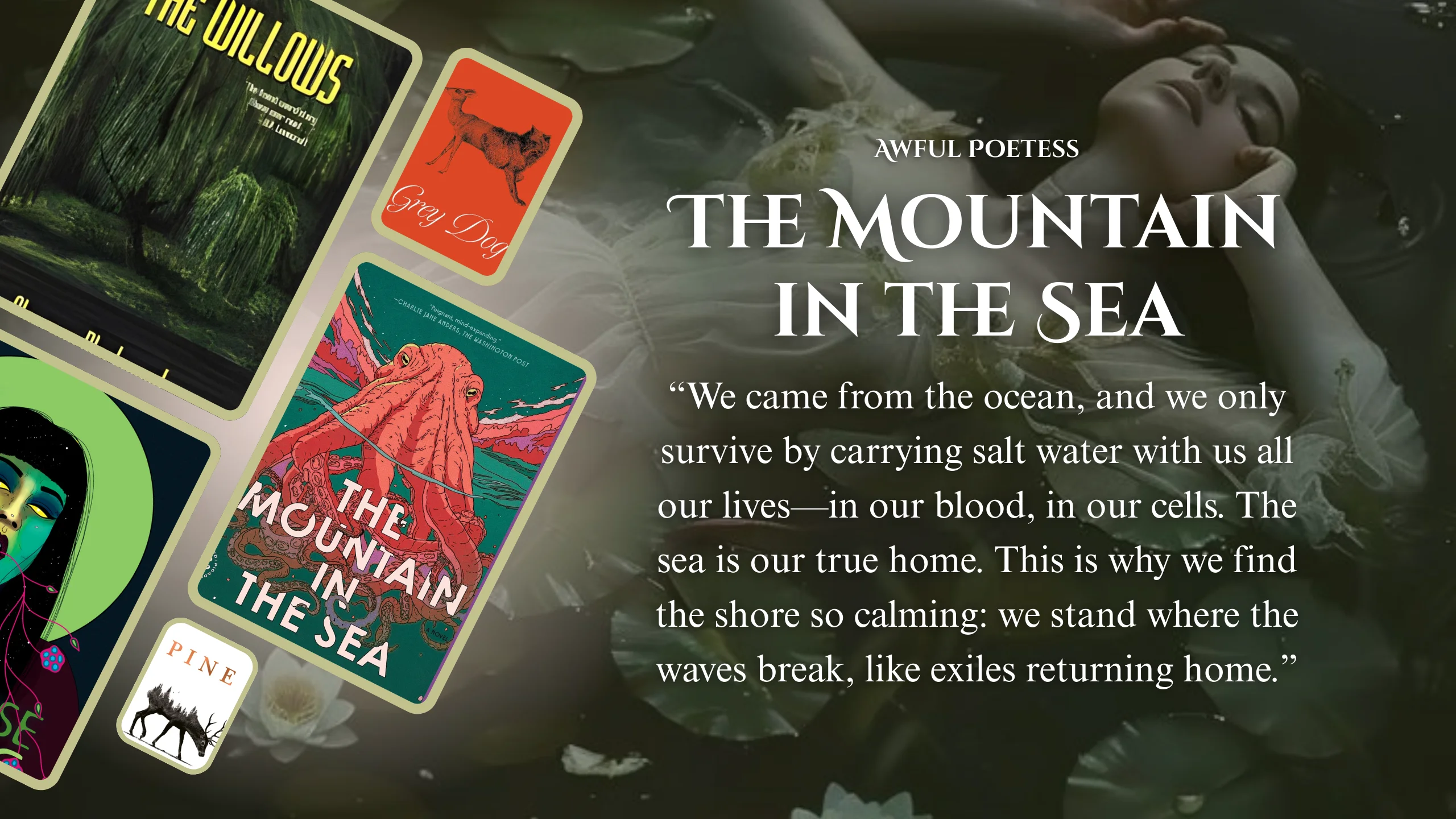 Nature Horror Book Recs - The Mountain in the Sea