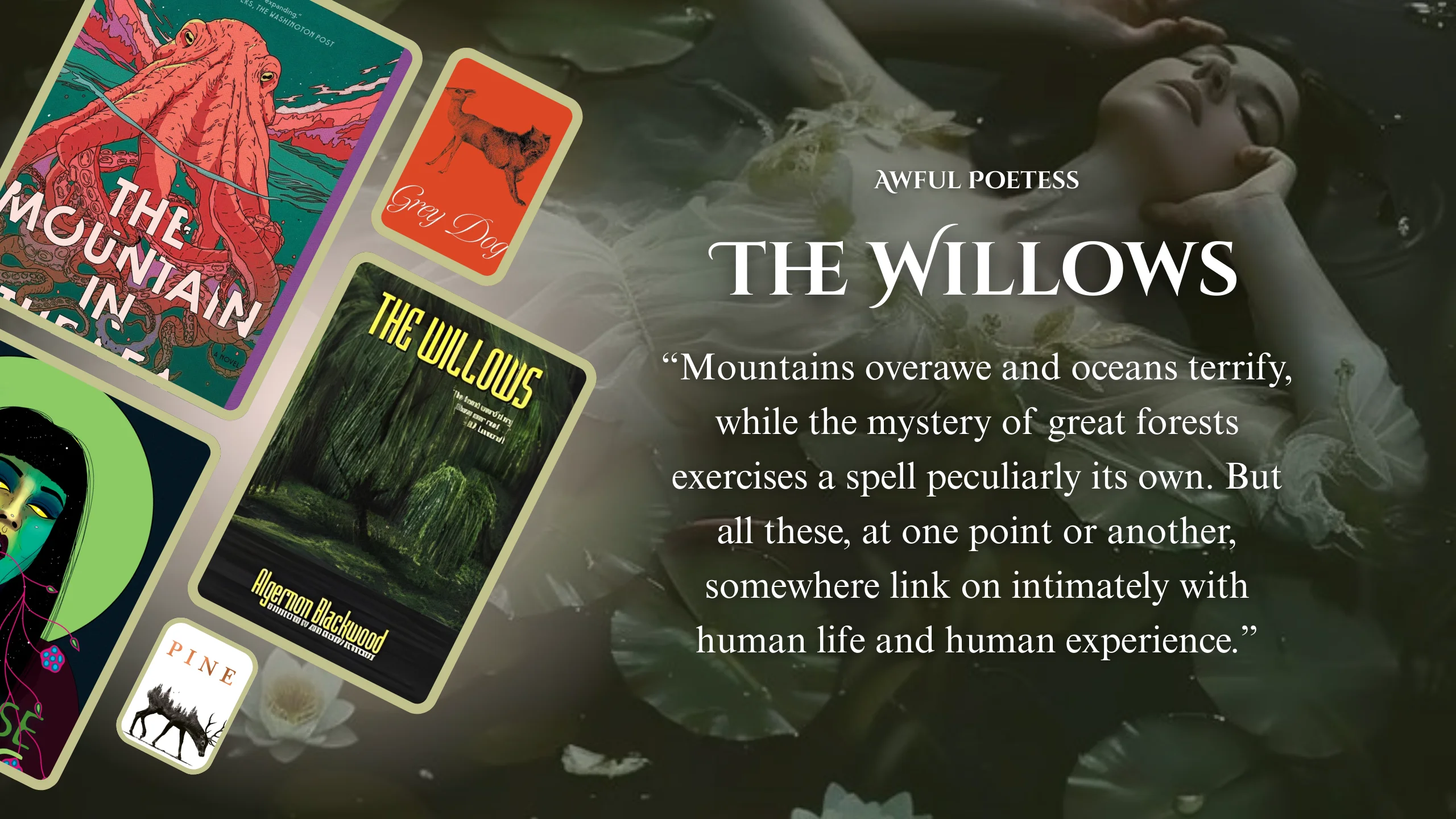 Nature Horror Book Recs - The Willows